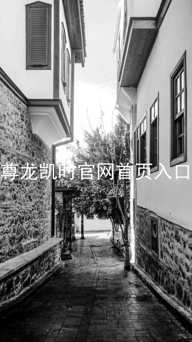 尊龙凯时官网首页入口